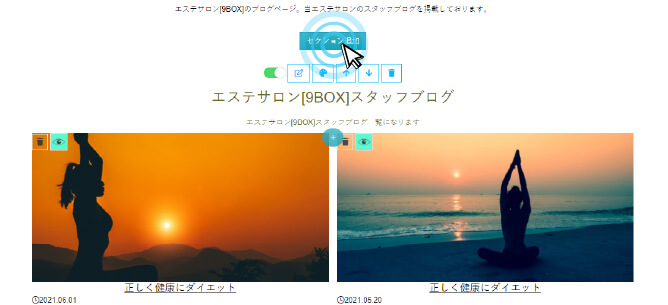 セクション追加ボタンをクリック